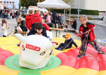 Fotos vom Familienfest in Eisenstadt
