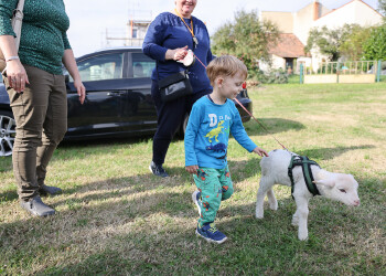 Fotos vom Familienfest in Eisenstadt
