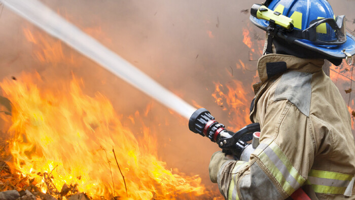 Feuerwehrmann beim L&ouml;schen eines Waldbrandes