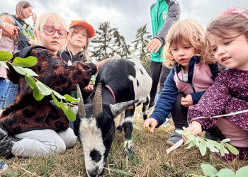Bilder vom Familienfest