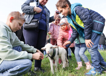 Fotos vom Familienfest in Eisenstadt