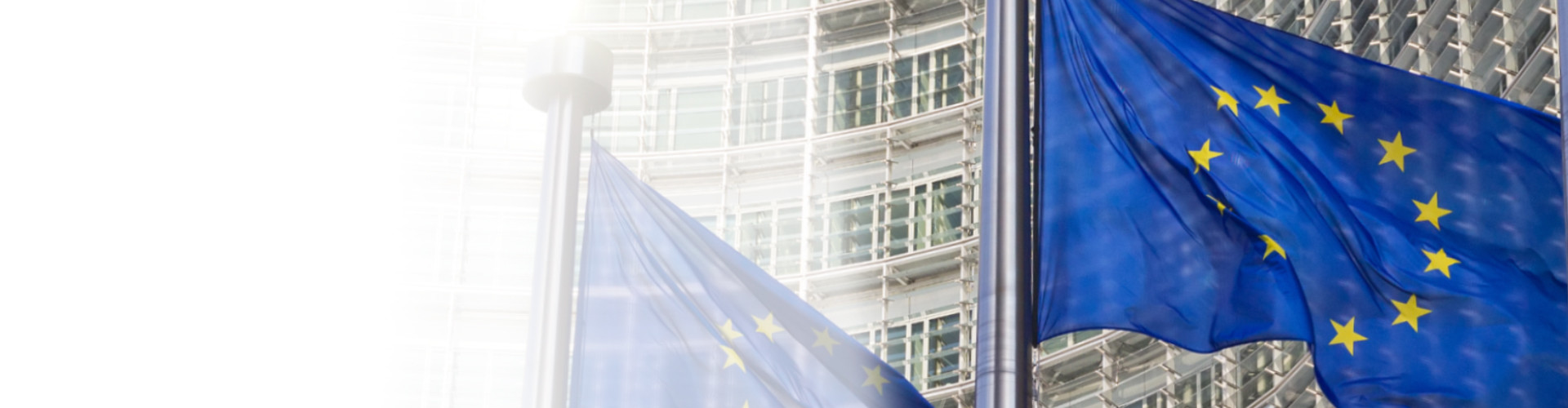 EU Flagge vor dem Kommissionsgebäude © VanderWolf Images, stock.adobe.com
