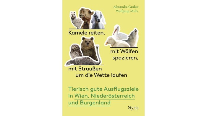 Kamele reitern, ... © Styria, Styria Buchtipp © Styria, Styria