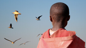 Junger afrikanischer Bub blickt aufs Meer und schaut den M&ouml;wen zu