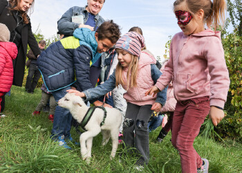Fotos vom Familienfest in Eisenstadt