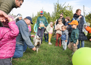 Fotos vom Familienfest in Eisenstadt